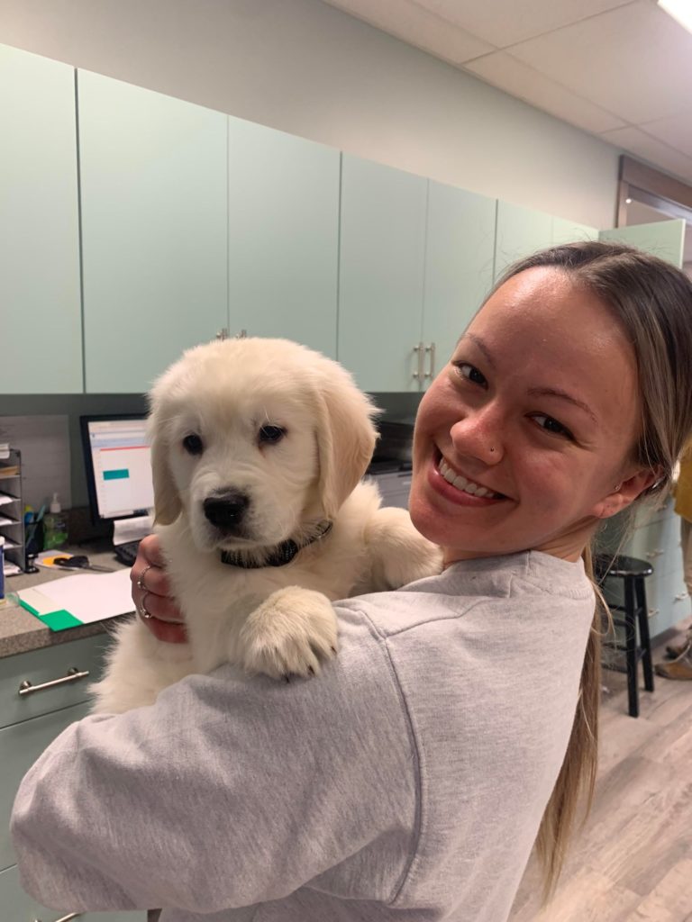 vet holding puppy for wellness exam.
